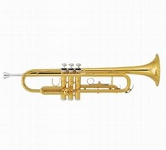 The Cheapest Bb Key Brass Trumpet