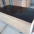 Tego Plywood Best Quality for