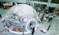 Transparent Small Geodesic Dome Tent for