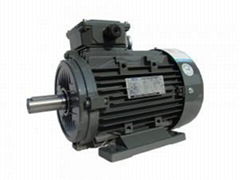 MOTOR THREE PHASE SUBMERSIBLE MOTOR PUMP