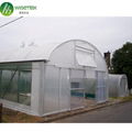 Hot Sale Single-Span Film greenhouse indoor 4