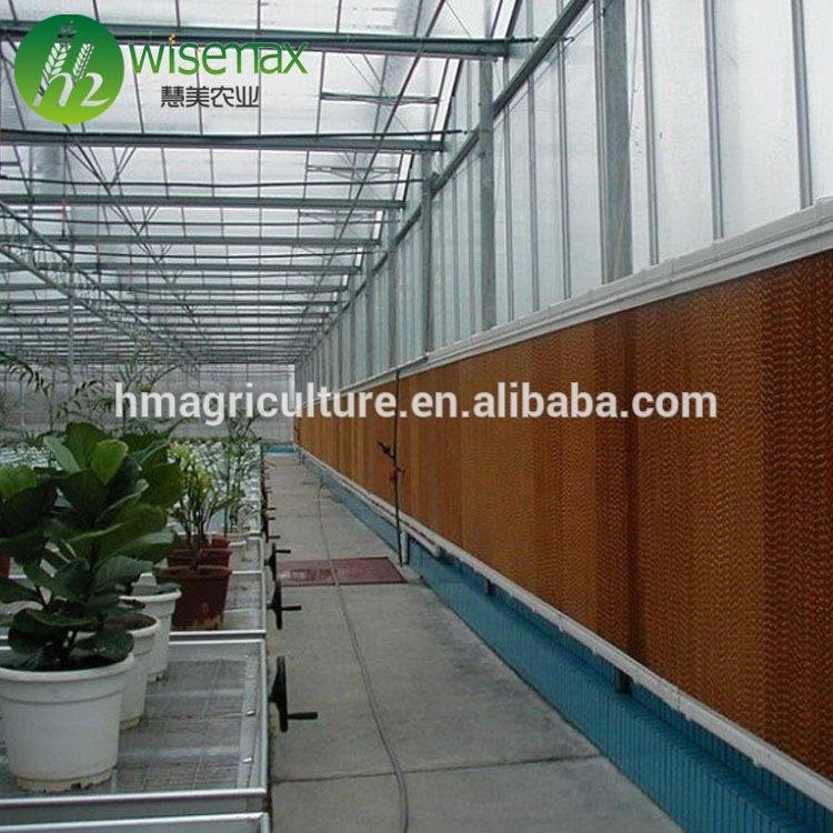 Large size PE material film cover low cost multi span greenhouse for tomato 2