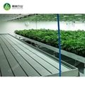 Hot sale greenhouse rolling benches