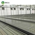 High quality agriculture tidal irrigation plastic tray seeding bed for nursery 5