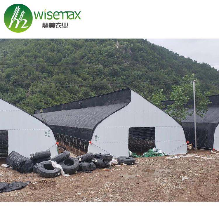 Hot slae Agricultural Polythene Film Covered Mushroom Green House 2