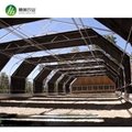 3 Layer breathable shading curtain film covering whole blackout greenhouse 3