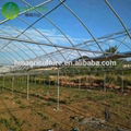 Hot galvanized steel frame agricultural tomato greenhouse tent for sale 3