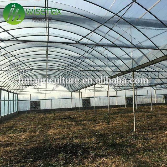 Hot galvanized steel frame agricultural tomato greenhouse tent for sale 5