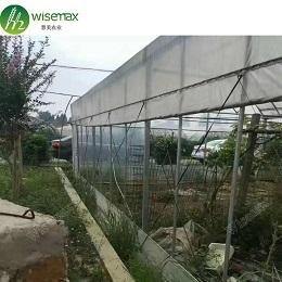 Multispan galvanized steel frame polytunnel low cost greenhouse for vegetable 4