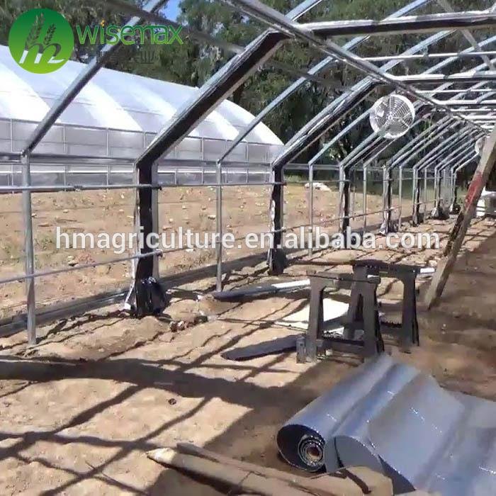 Cheap Medical growing light deprivation greenhouse with blackout system 4