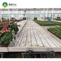 Aluminum frame with hot galvanized greenhouse Ebb and Flow rolling bench 2