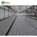 Aluminum frame with hot galvanized greenhouse Ebb and Flow rolling bench 3