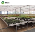 Aluminum frame with hot galvanized greenhouse Ebb and Flow rolling bench 1