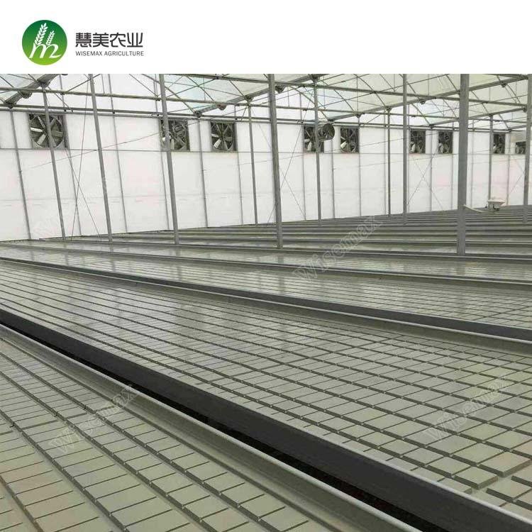 Aluminum frame with hot galvanized greenhouse Ebb and Flow rolling bench 5