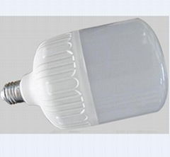 AC48V 30W LED Lamps