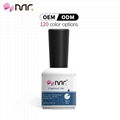 wholesale free sample nail gel polish uv gel nail 2