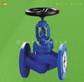 DIN Standard Globe Valve 1