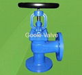 DIN Angle Type Globe Valve 1