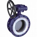Flanged Flouorine Plastic Lined Butterfly Valve (GAD341F/GAD341FS) 1