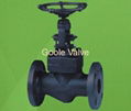 Forged steel Globe Valve 1