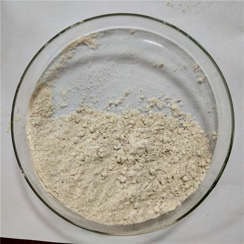 feed grade L Isoleucine price for animal feed 3