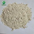 feed grade bacillus subtillis probiotic powder 1