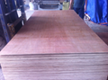 Packing Plywood 3