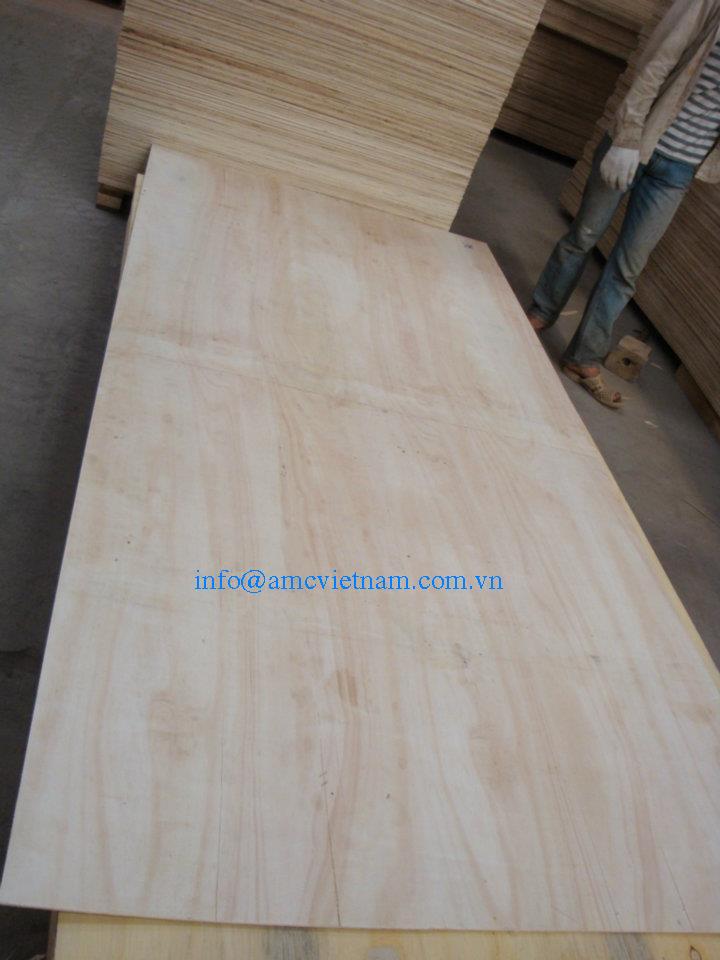 CONSTRUCTION PLYWOOD 2