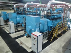  Power 1MW to 50MW Diesel Power Plant（Containerized power plant）