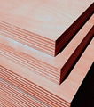 commercial plywood 2