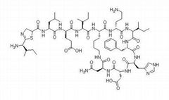 Bacitracin