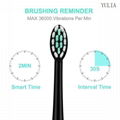 Portable Electric Toothbrushes 5