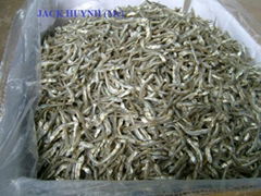 DRIED ANCHOVY WITH HIGH QUALITY AND BEST PRICE