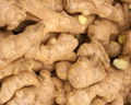 VIETNAM FRESH GINGER    3