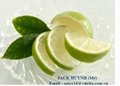  Green lemon  Fresh lemon seedless  Fresh fuit hight quality 3