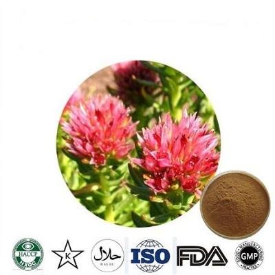 Rhodiola Extract manufacturer 