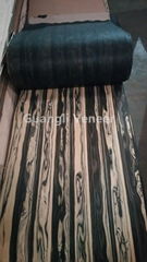 Guangli Landscape Ebony Veneer