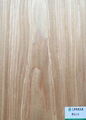 Guangli Cherry 119C Veneer