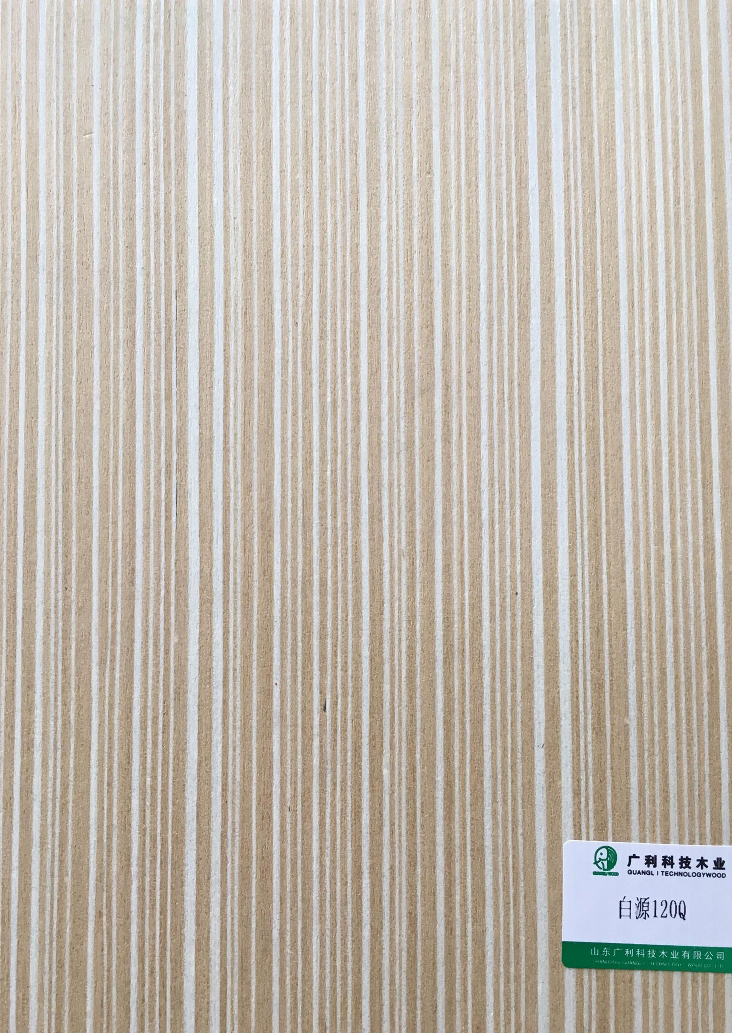 Guangli Ash 120Q Veneer