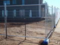 Welded Temporary Fencing 4