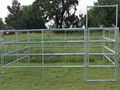 Corral Panels