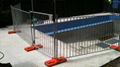 Temporary Pool Fencing 5