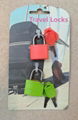 2 Piece Travel Lock Set with Key 