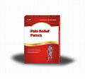 Pain Relief Patch