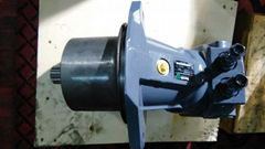 Directly Supply A2fe125/61W Hydraulic