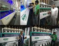 Best price China Hefei maded intelligent CCD color sorting machine  2
