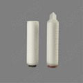 Sterilizing Filtration Biopharmaceutical Filters Cartridge