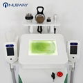 FDA CE approved beauty equipment comfortable treatment permanent result freezing