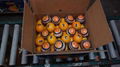 Fresh orange - Low Price - Finest quality - Egyptian Orange 3