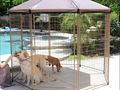 Dog Kennels 1